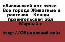 абиссинский кот вязка - Все города Животные и растения » Кошки   . Архангельская обл.,Мирный г.